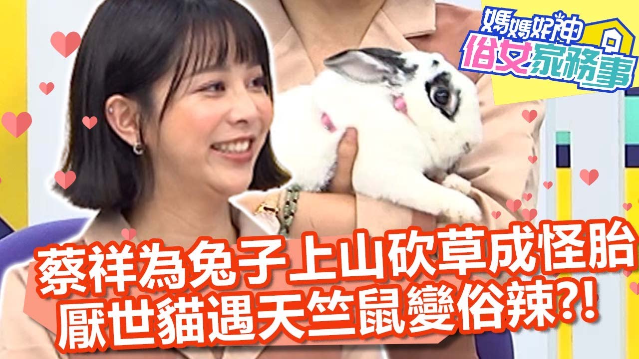 蔡祥為兔子上山砍草成怪胎？厭世貓遇天竺鼠一秒變俗辣？！【#媽媽好神之俗女家務事】20220705 part2 爆紅萌寵 EP504 Apple 小優