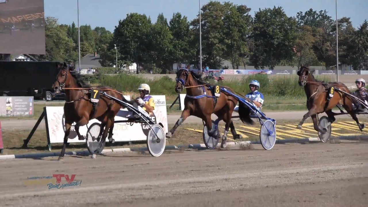 Der Tag 5 ### 123. Deutsches Traber-Derby ### Berlin-Mariendorf
