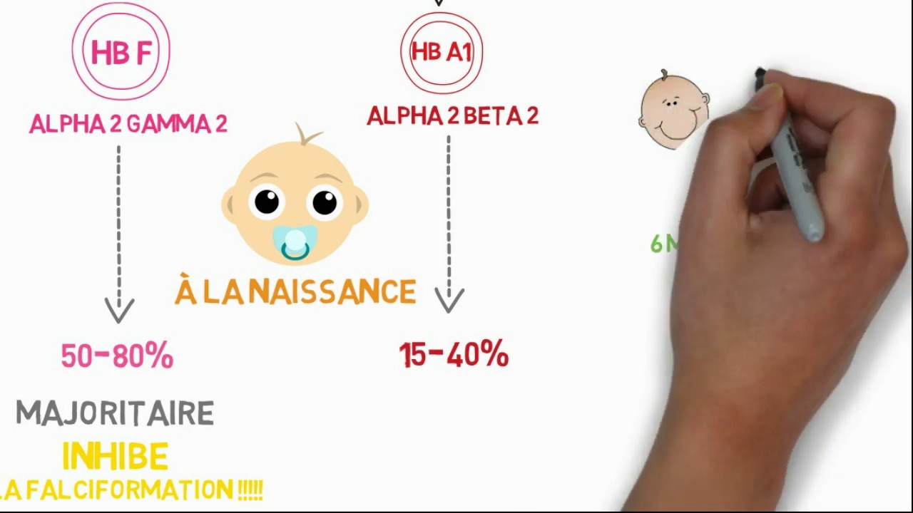 comprendre la drépanocytose en 12 min !!!!
