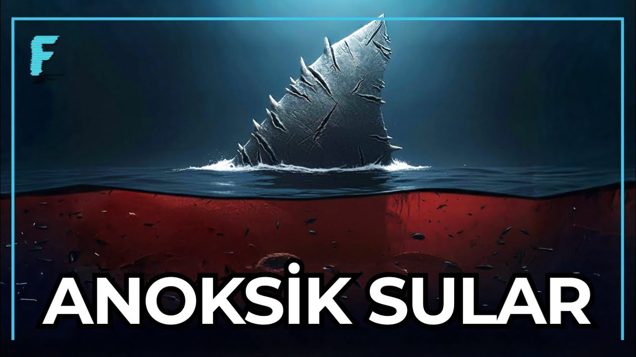 Denizlerin Gerçek Katili Megalodon Değildi | Anoksik Okyanuslar