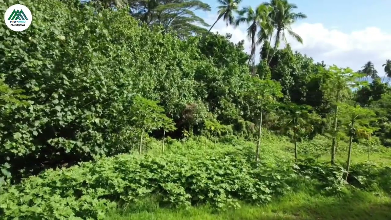 Moorea Haapiti Terrain en 3 plateaux