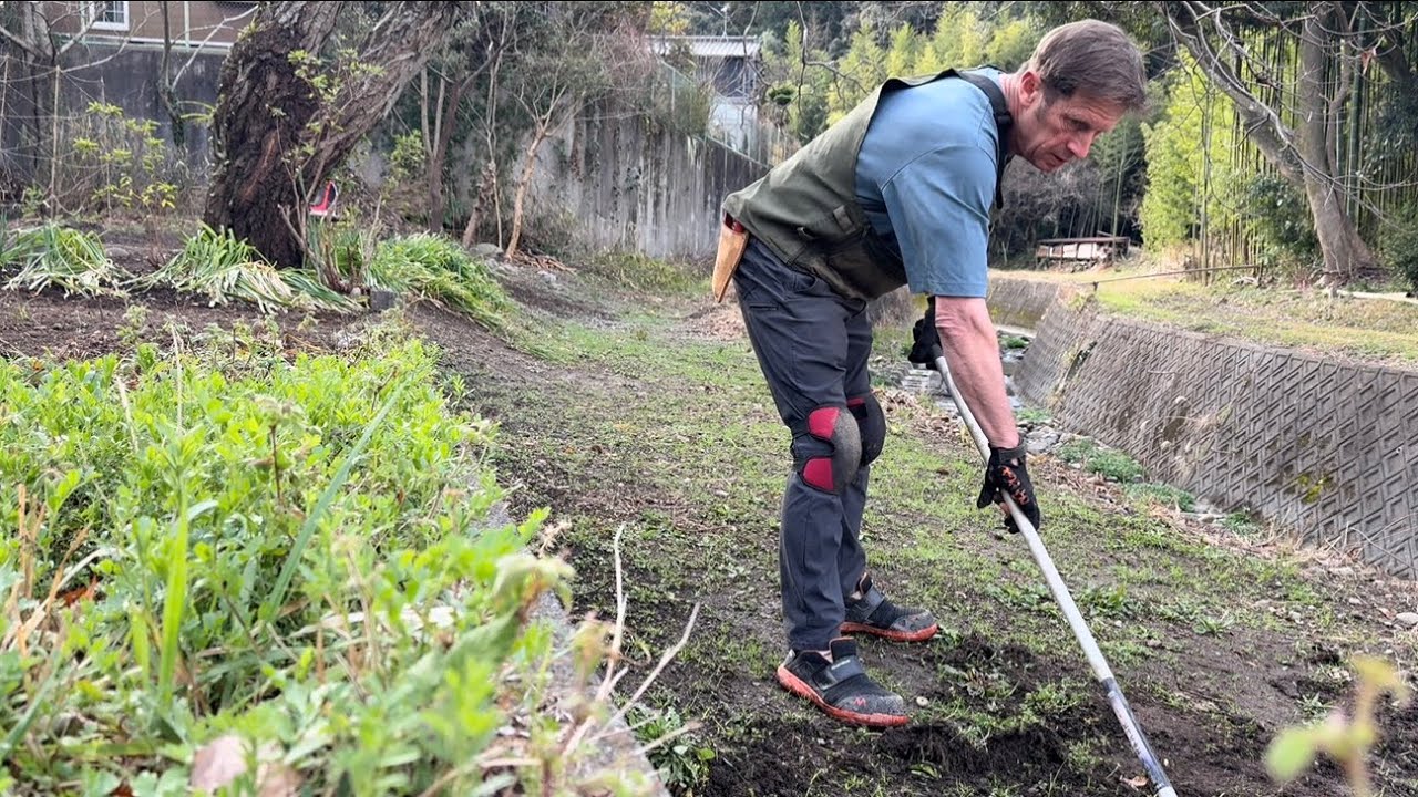 🪴 Garden Work in Japan: Early Weed Control and Sasa Bamboo Clearing – Japan Garden