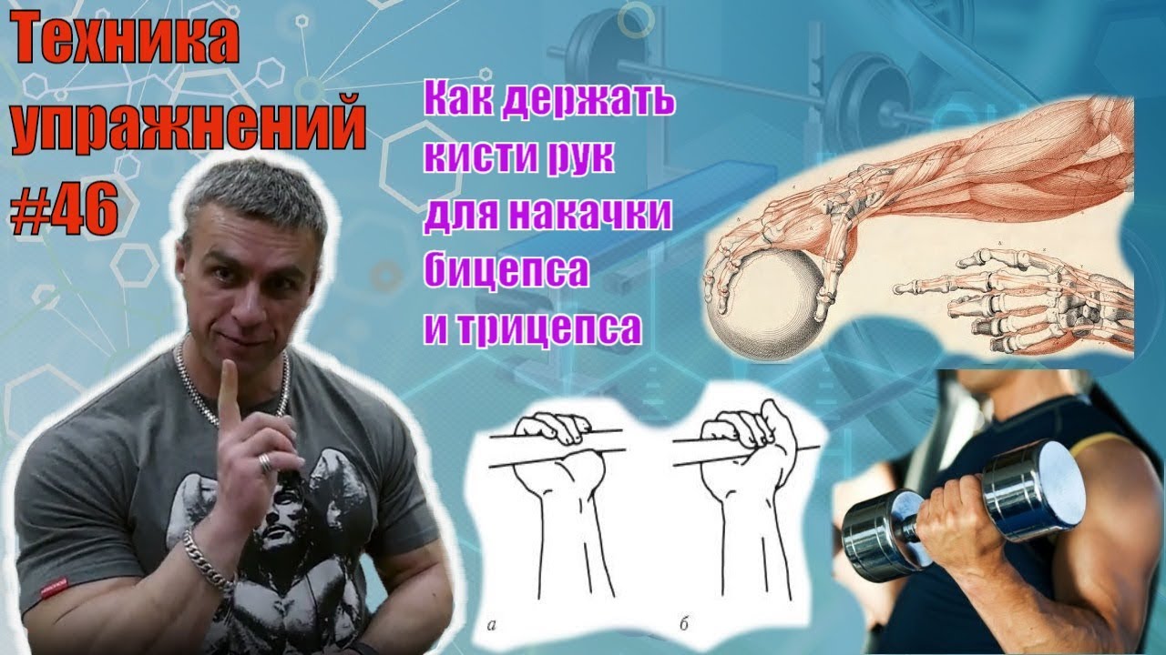 Как накачать бицепс и трицепс. В каком положении держать кисти рук. Миография. Техника 46