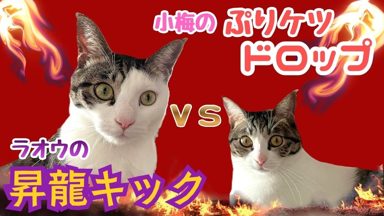 #38　小梅ドロップ炸裂！ ラオウ、ピンチ...待ち受ける結末とは！？