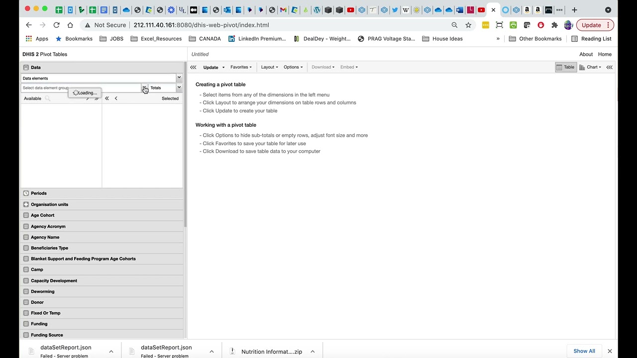 DHIS2 PIVOT TABLES