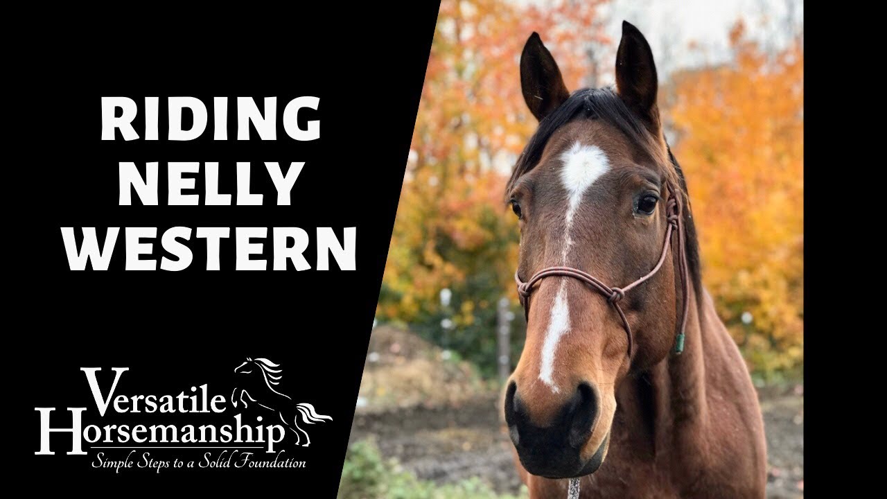 🔴 RIDING NELLY WESTERN and working a few more! (live-stream) // Versatile Horsemanship