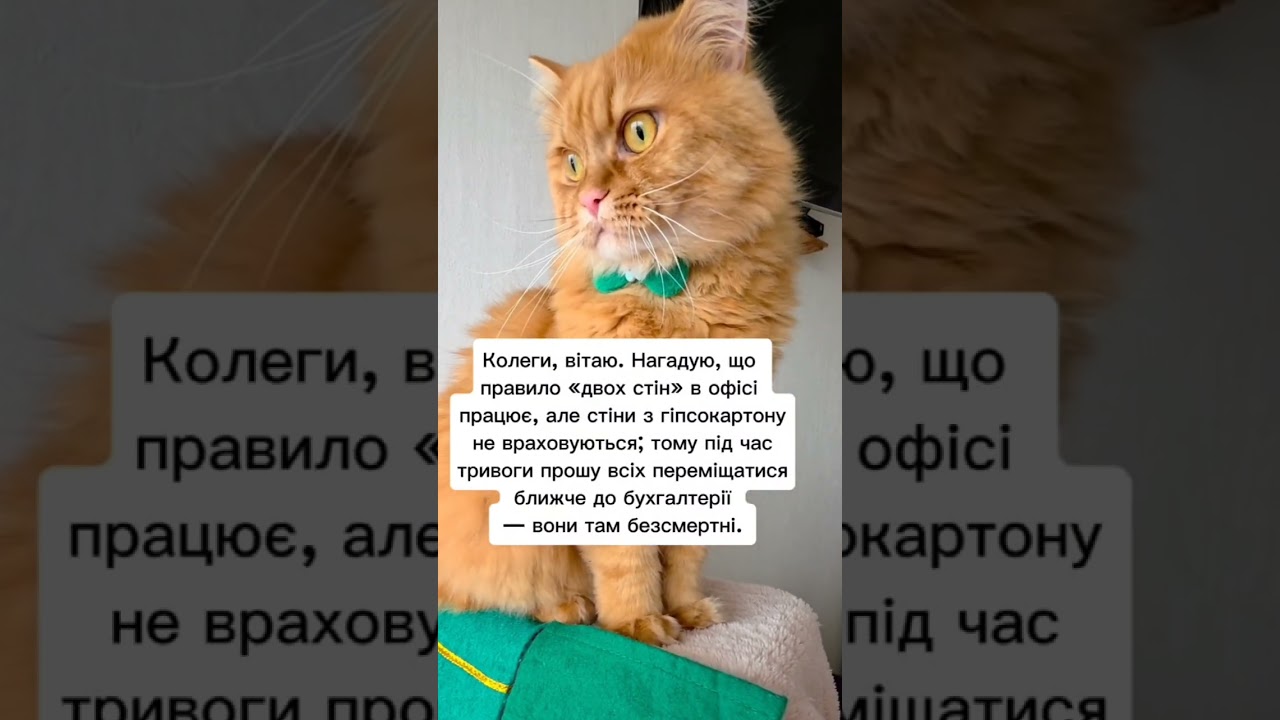 Бухгалтерія😁