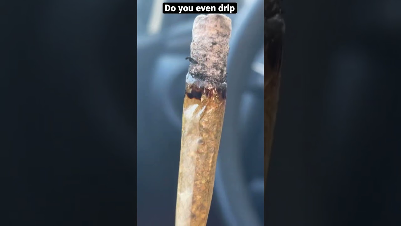 But How does it smoke tho #420 #theflowery #florida #properdoinks
