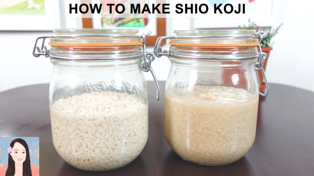 How to Make Shio Koji (Recipe - Japanese Cooking) - Sakura Yubi