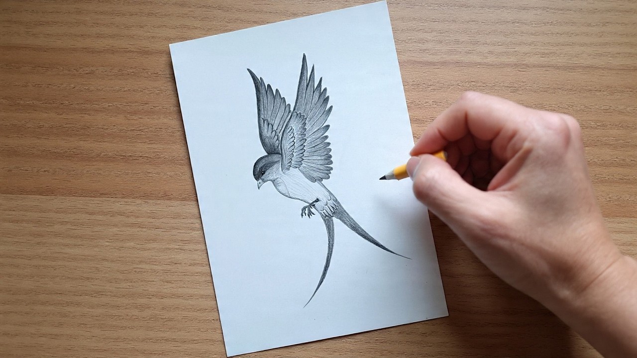 Realistic Swallow Bird Pencil Sketch Drawing - Step-by-Step Art Tutorial