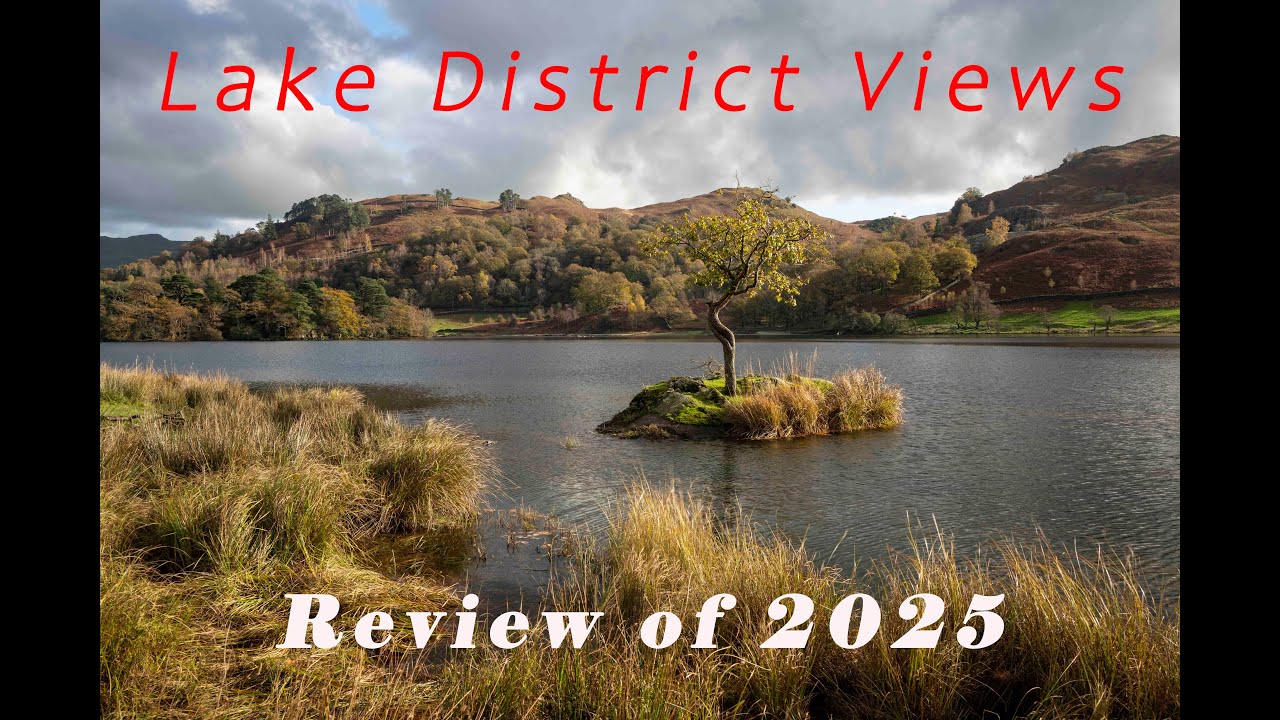 Review of 2025