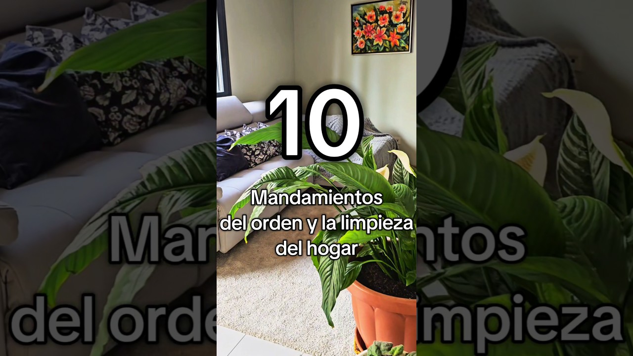 10h&aacute;bitos del orden y la limpieza del hogar#amadecasa #explore #consejos #casalimpia #ordenylimpieza