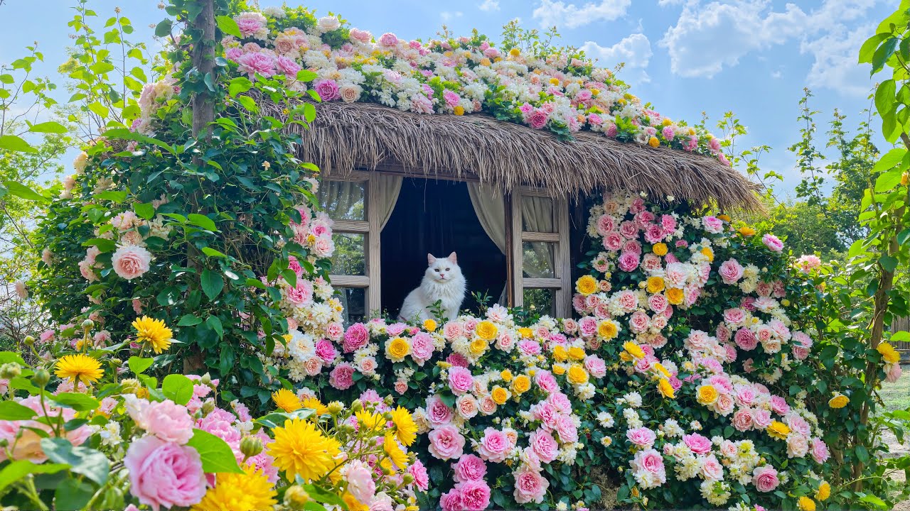 Спокойная прогулка по саду 🌸 Скрытый цветочный рай, где можно успокоить ум и восстановить внутрен...