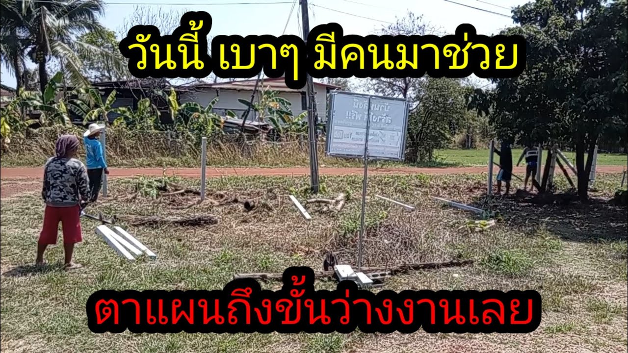 วันนี้มีทีมงานลูกหลานของตาแผนมาช่วยเบาแรง#จิตอาสา 