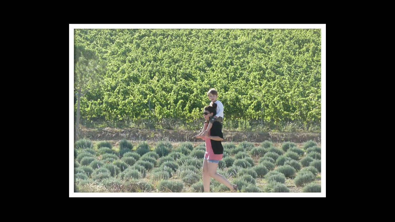 July 2011 Roaix