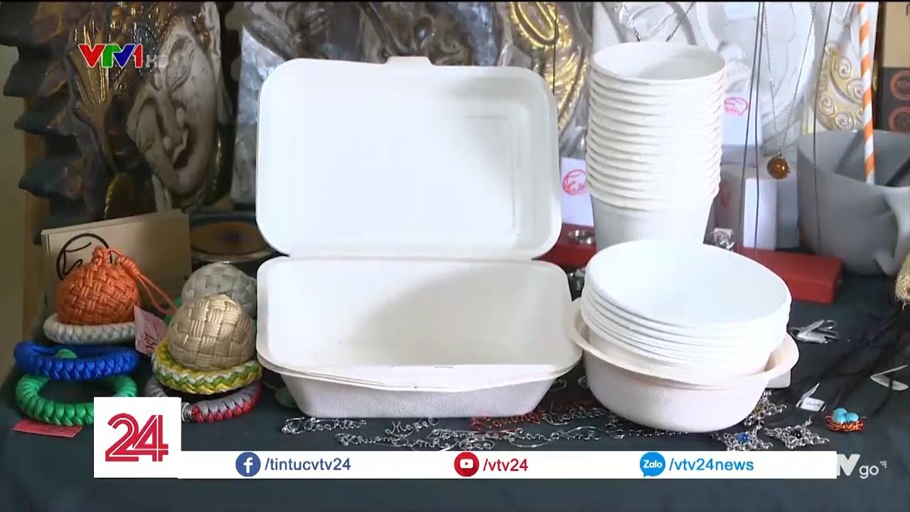Hộp xốp làm từ bã mía thân thiện với môi trường | VTV24