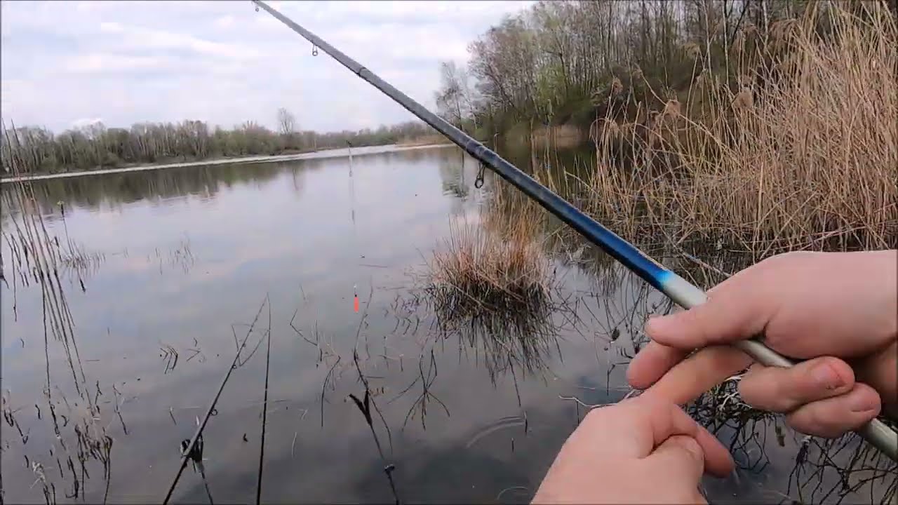 🔴RYBAŘENÍ PLAVANÁ A METHOD FEEDER