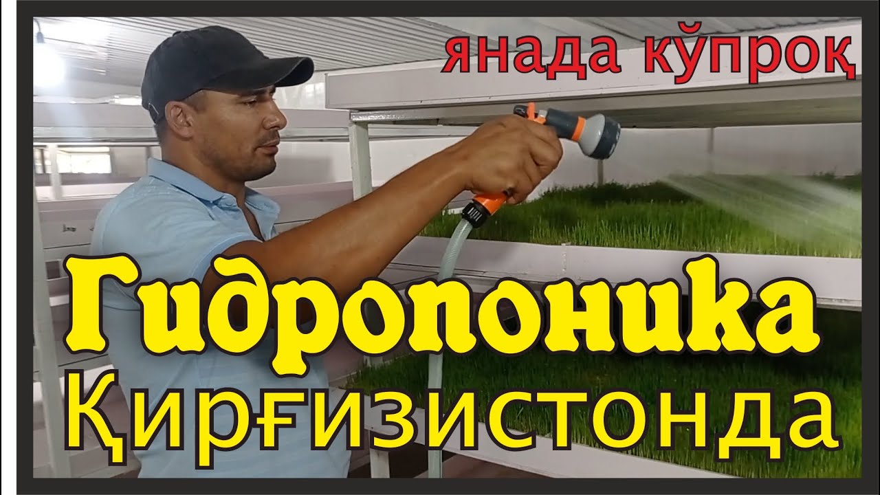 Гидропоника Қиргизистон! - Иссиқда кўриладиган чоралар! 1-қисм. @rizomuhammad