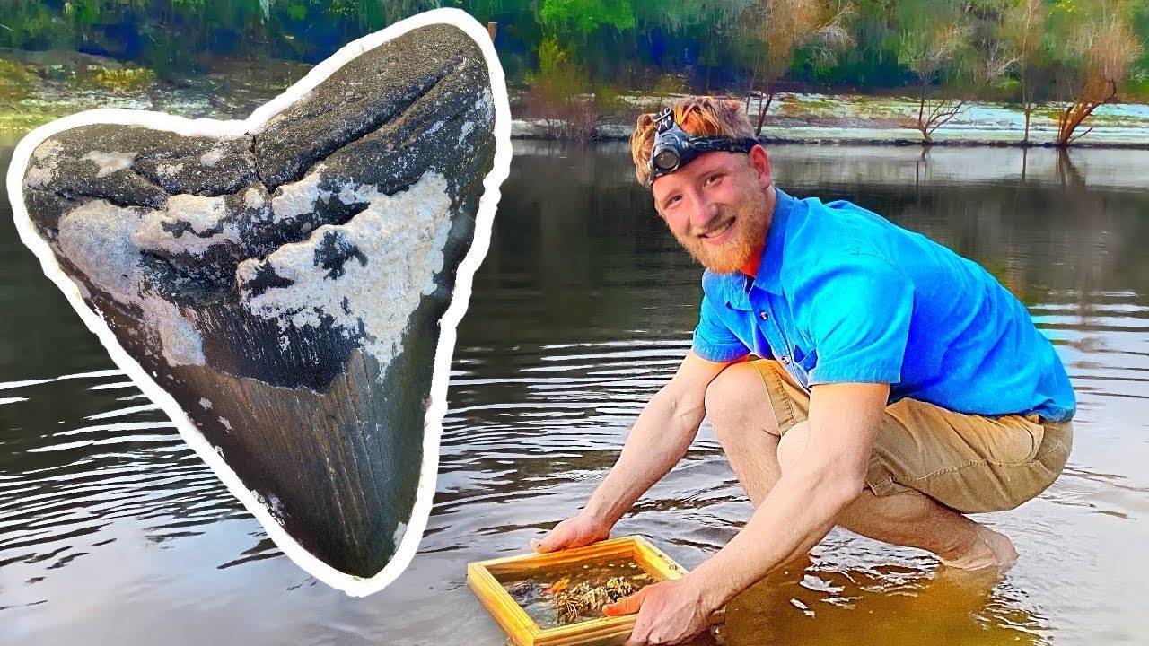 Hunting MEGALODON Shark Teeth! 🦈 | Fossil Hunting in North Carolina | Rockhounding Near Me