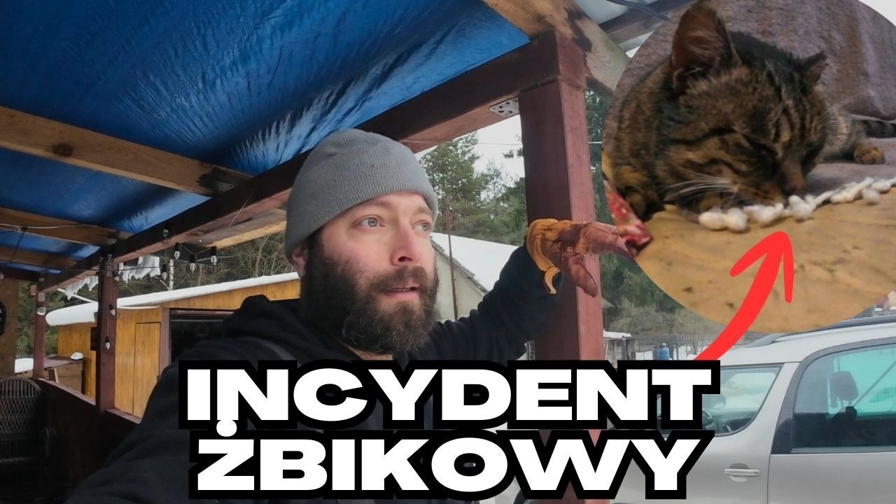 Roztopy przed mrozami i incydent żbikowy