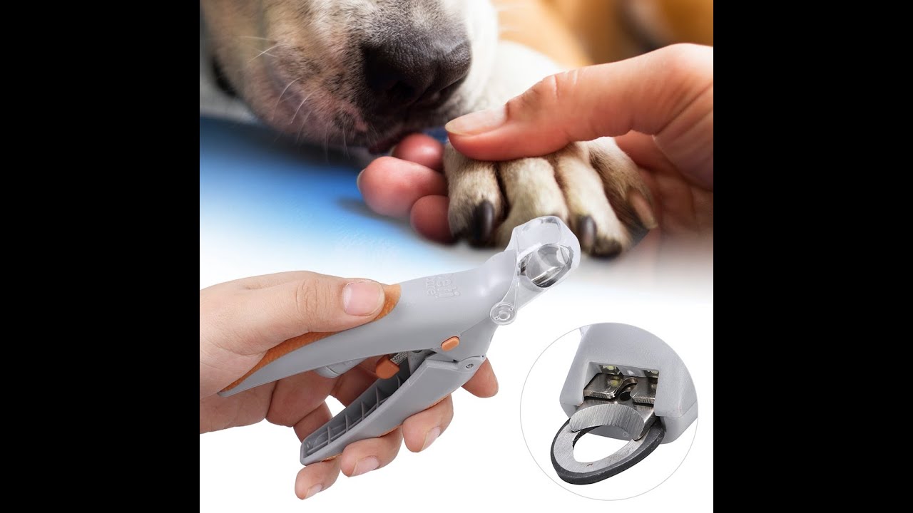 Safety LED Light Pet Nail Clipper