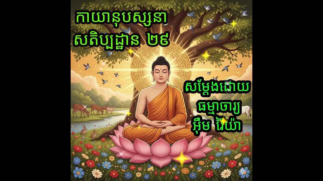 កាយានុបស្សនាសតិបដ្ឋាន​​ ២៩ បង្រៀនដោយ ធម្មាចារ្យ អ៊ឹម រ៉ៃយ៉ា #ធម៌អប់រំចិត្ត #ធម៌ទេសនា #ធម៌អប់រំជីវិត