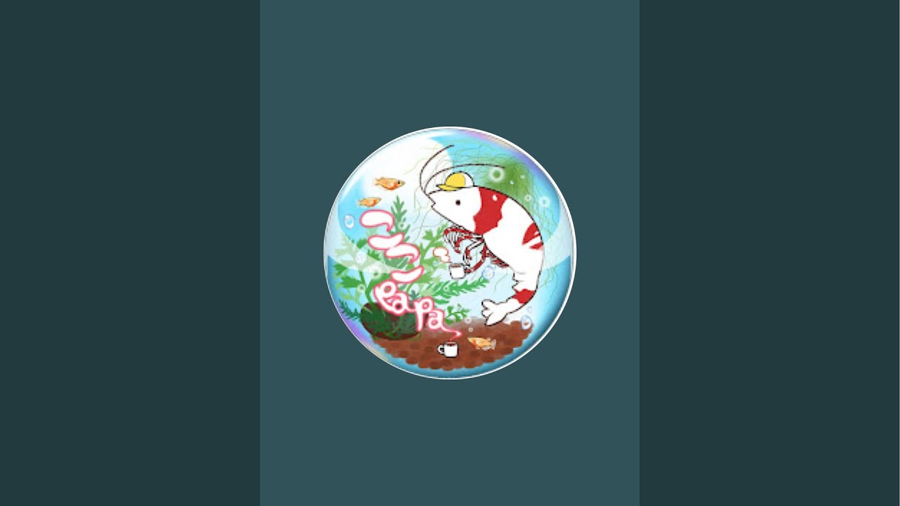 覚悟の夜配信。今日で決める。初見さん！あいさつだけでも😊
