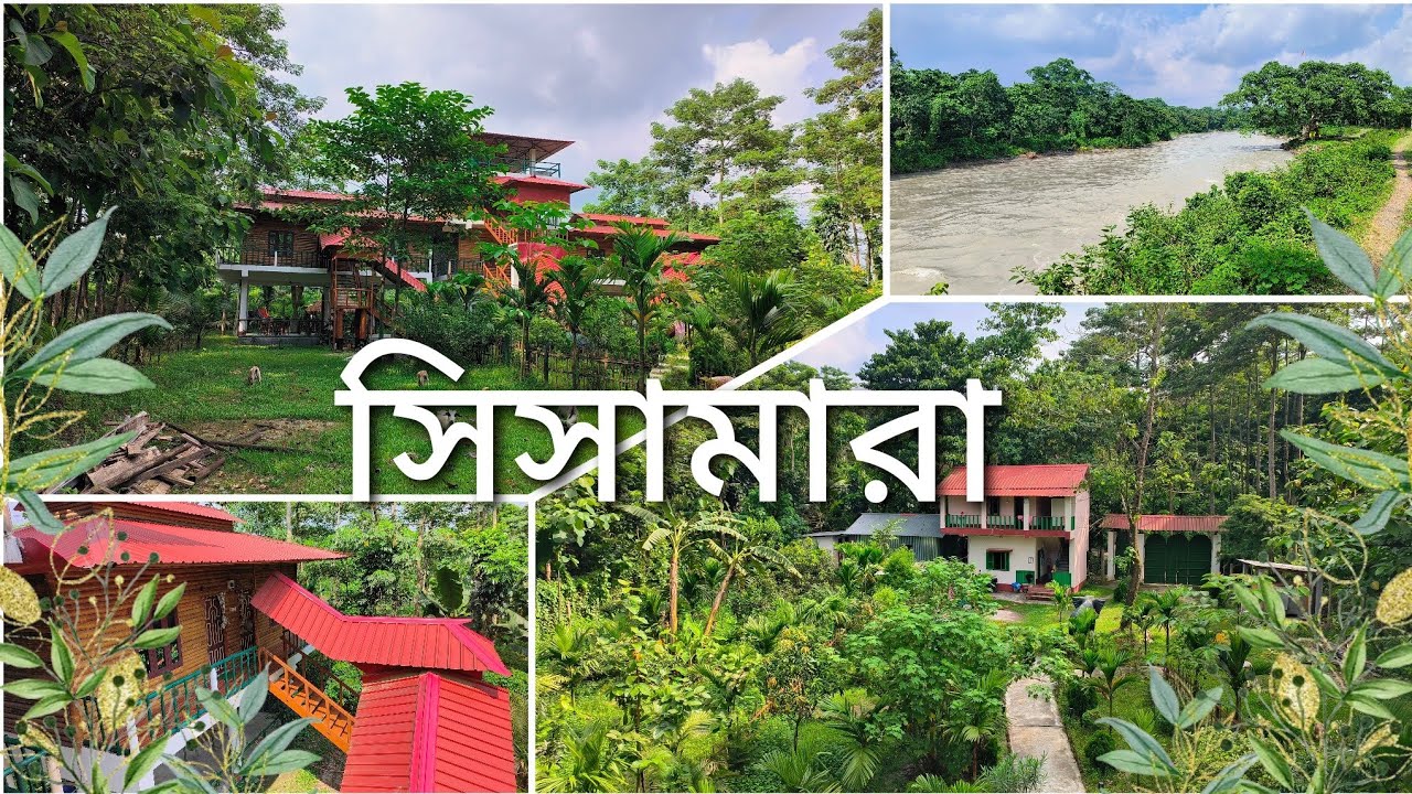 Sisamara Dooars|| Jaldapara National Park|| Orchid Homestay Sisamara
