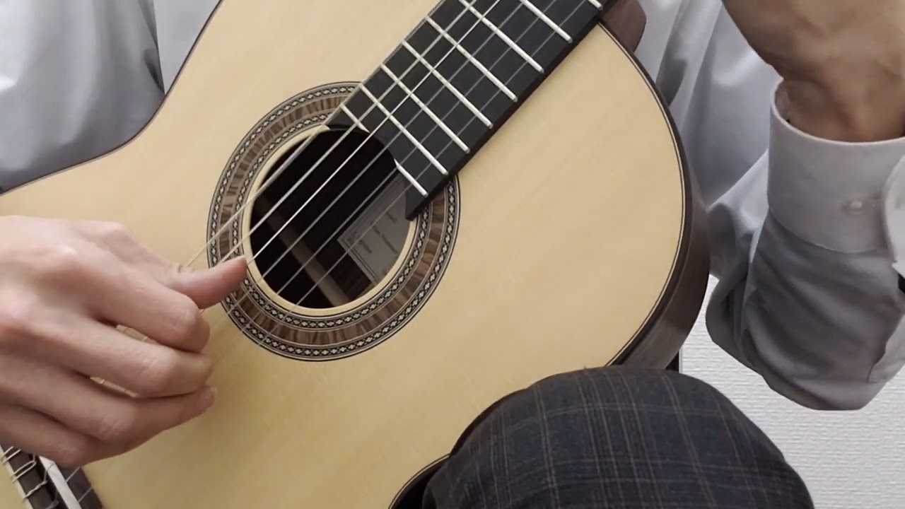 Karl Hofner カール・ヘフナー Classical Master Series HM89-0 松・ローズウッド  【クロサワ楽器日本総本店２F　サンプル試奏動画】