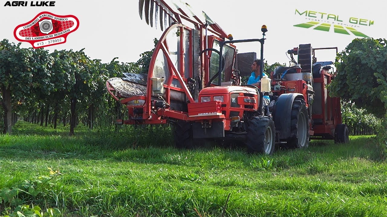 Metal Gei - Carpenfer | Fiat 80-66 | Same Frutteto | New Holland TN65F