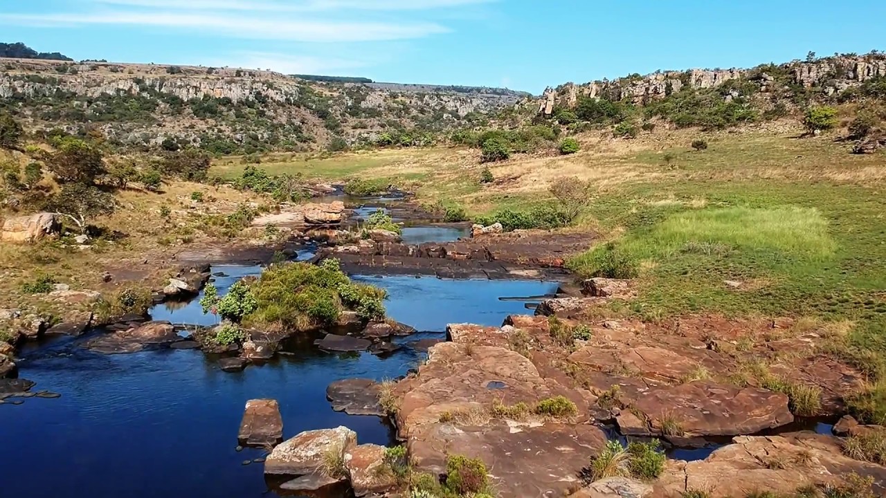 Fish of the Treur River, Olifants River Catchment, South Africa (October 2017)