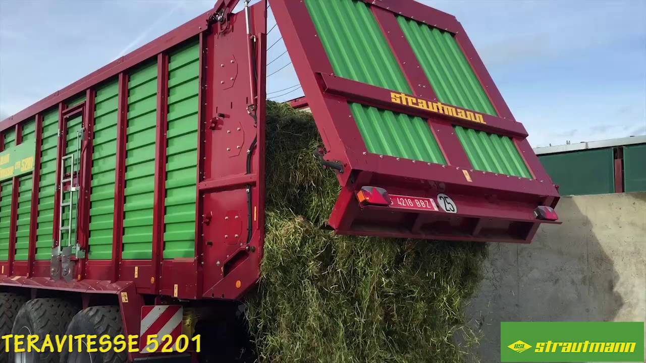 STRAUTMANN TERAVITESE 5201