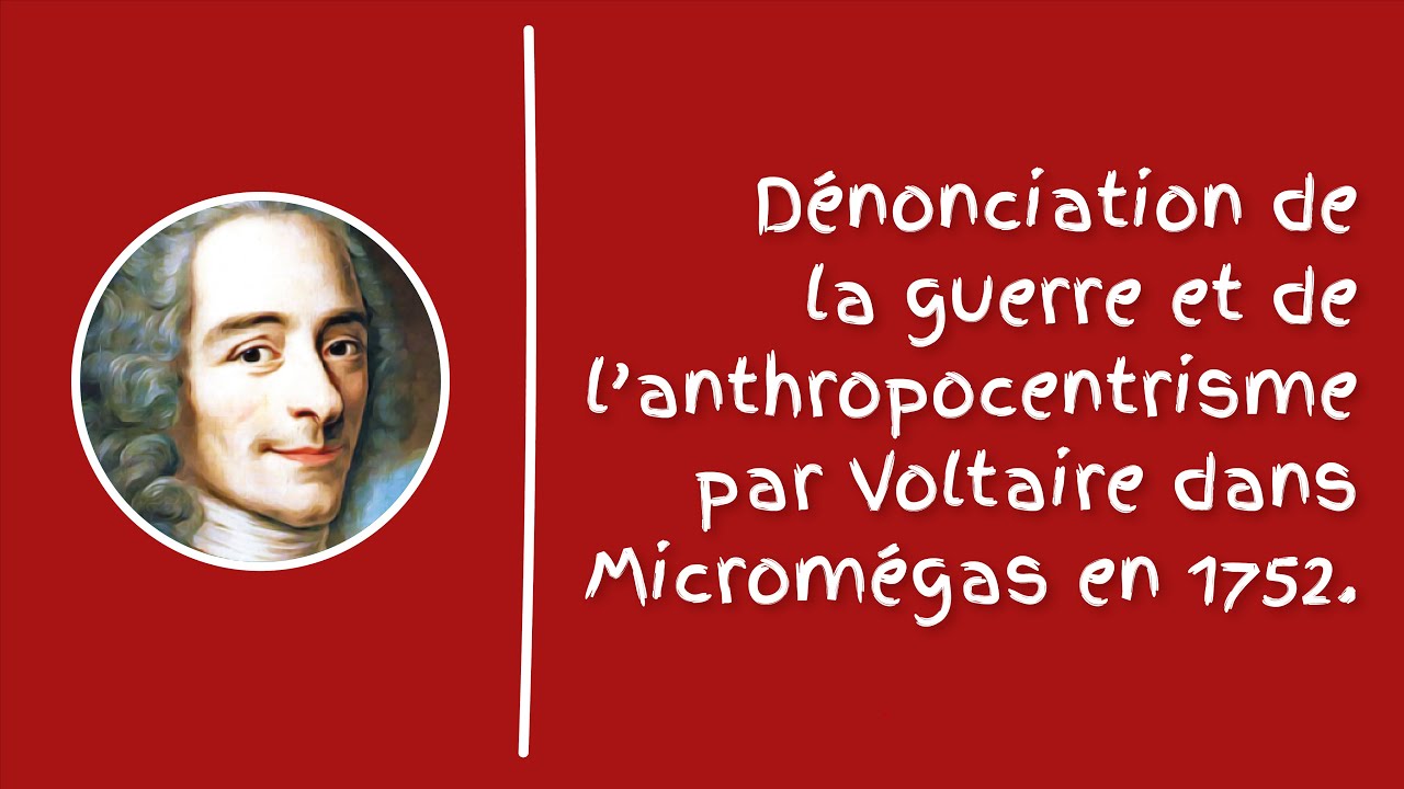 Le message crucial de Voltaire sur l'anthropocentrisme : une véritable leçon pour notre temps