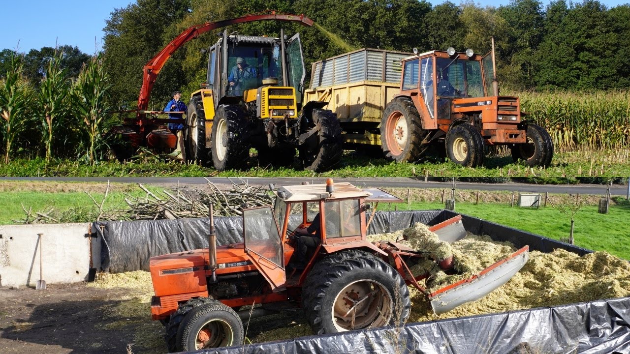Mais 2023 | Renault 498 + 851-4 + 751 + 103.14 | Karzijn Doornspijk | Maishakselen |Harvesting maize
