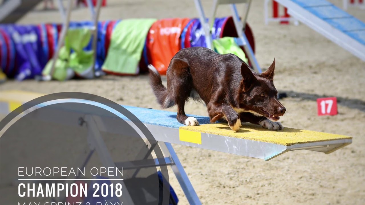 European Open Agility Champion 2018 • Max Sprinz & Bäxx