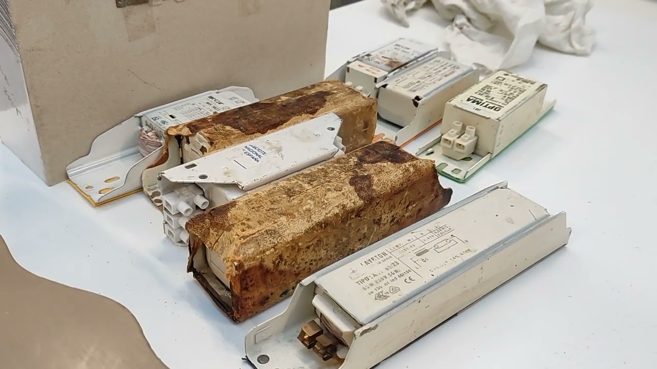 El Servicio de Conservación y Restauración de la BNE