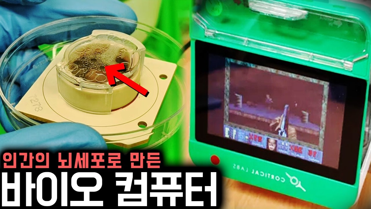 살아있는 '인간 뇌세포'로 만든 컴퓨터.. (혼자 게임까지 학습함ㄷㄷ) | 미스터리