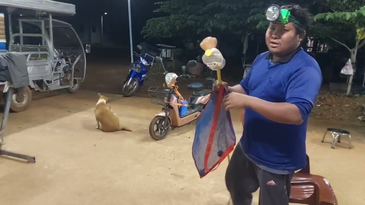 หลังจากฝนตกหนัก ได้โอกาสหากบหาเขียด#จิตอาสา 