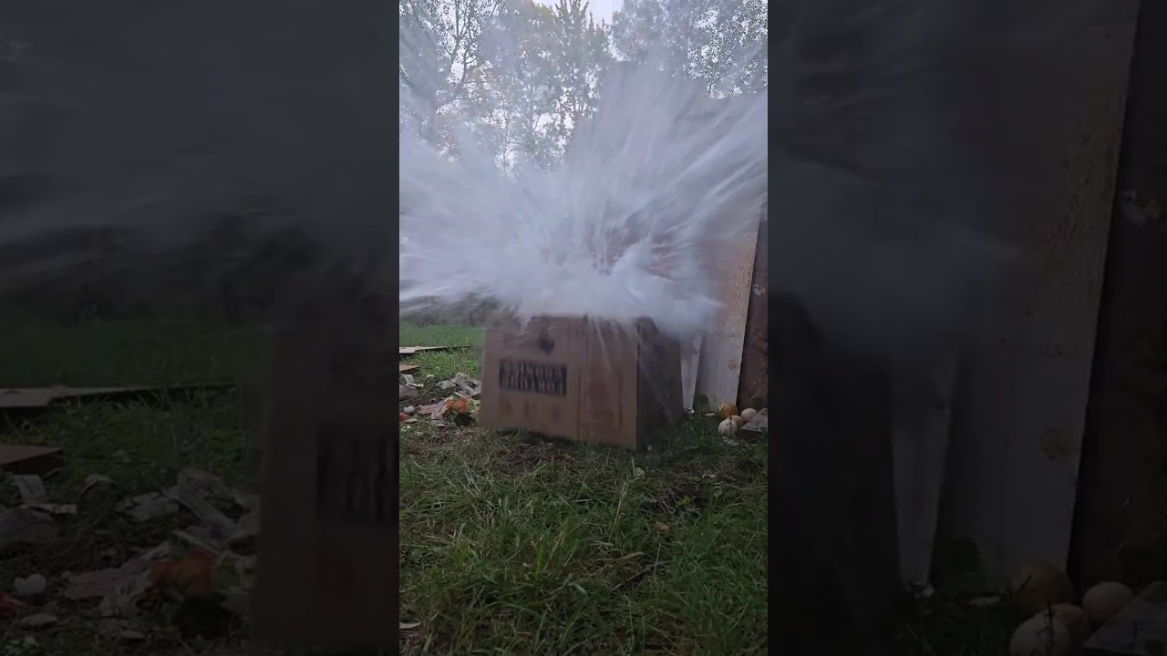 Aea megalodon .457 vs. Everything #destruction #airgun #subscribe #shots #shorts
