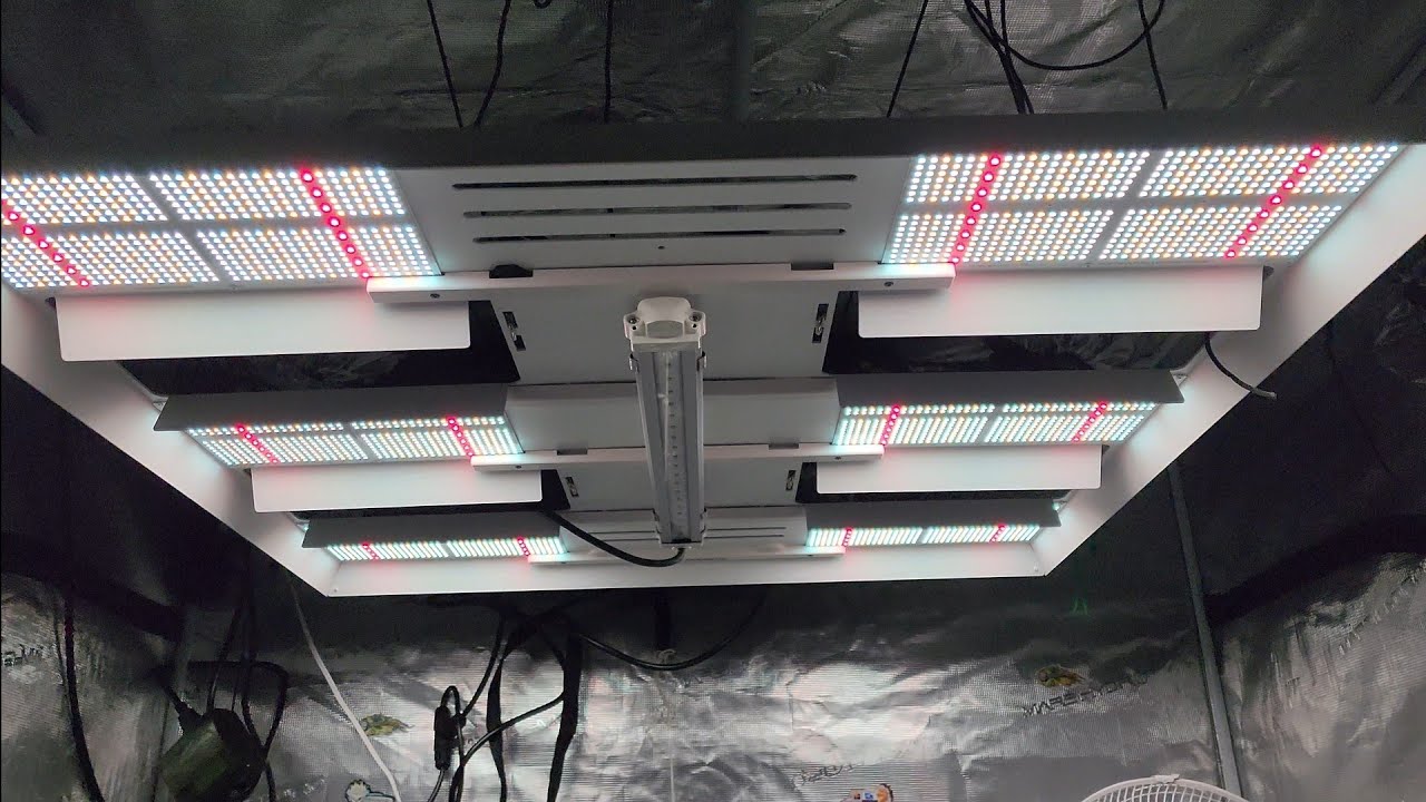 New HLG Scorpion Diablo in 5x5 with 3.9 Autopot system! 3x3 with FC-4800.