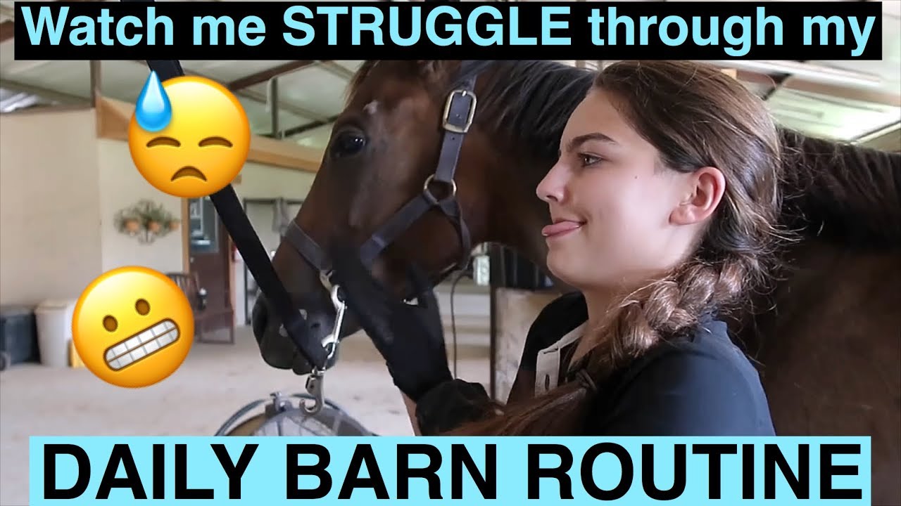 MY DAILY BARN ROUTINE (it’s a struggle)
