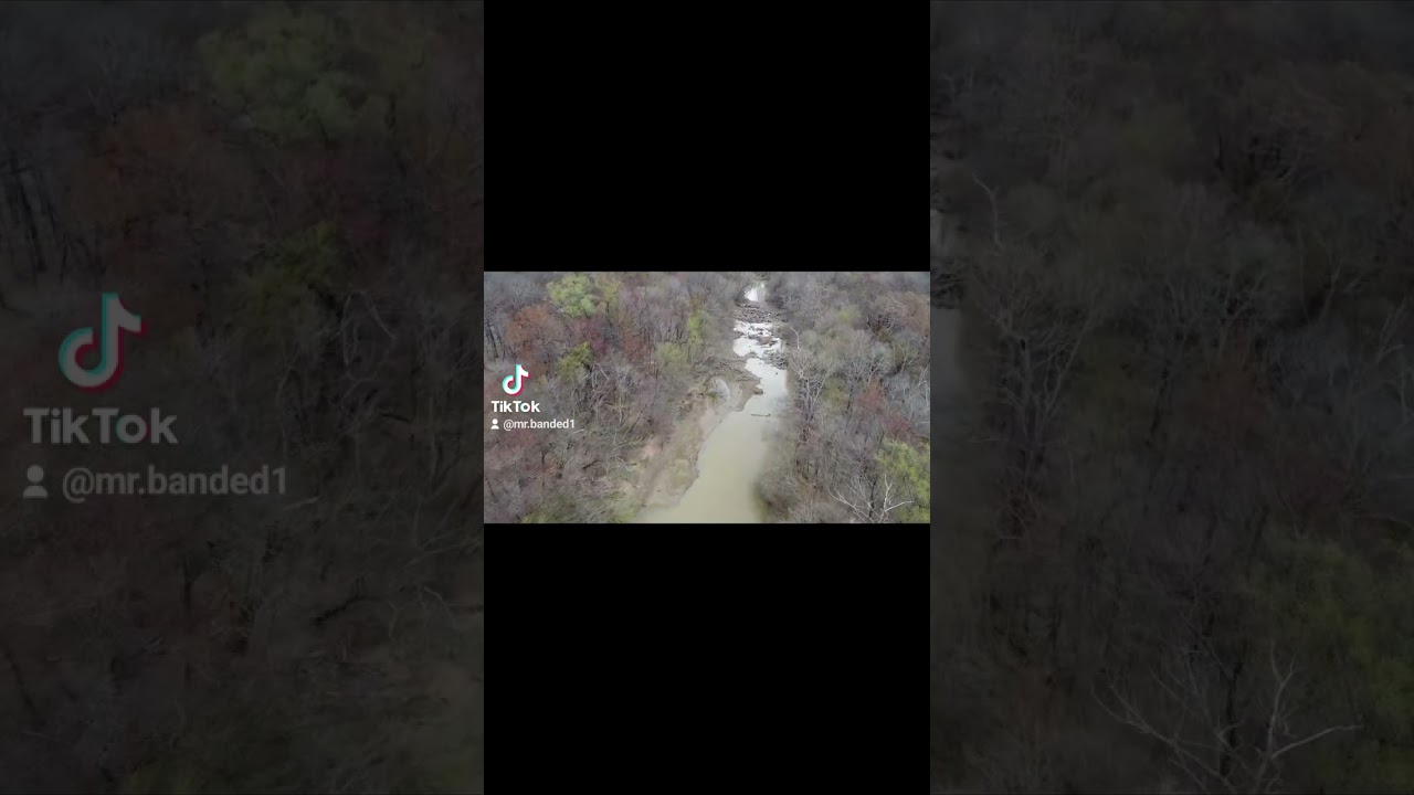 Cache river logjam