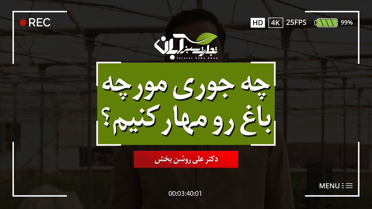 چه جوری مورچه باغ را مهار کنیم؟