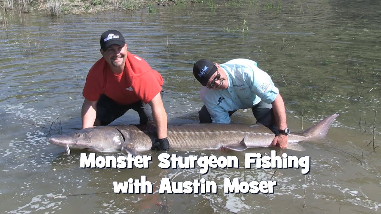 Monster Sturgeon Fishing with Austin Moser
