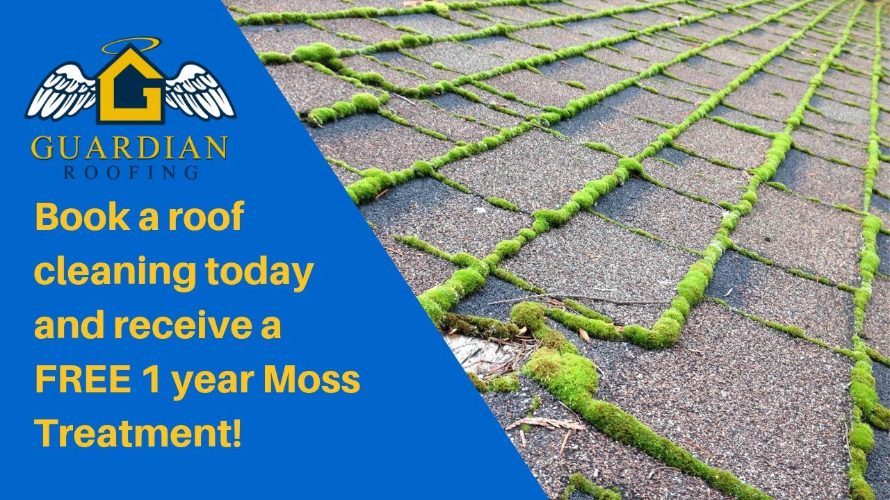 Seattle Roof Maintenance | Book Now & Receive a free 1 year Moss Treatment