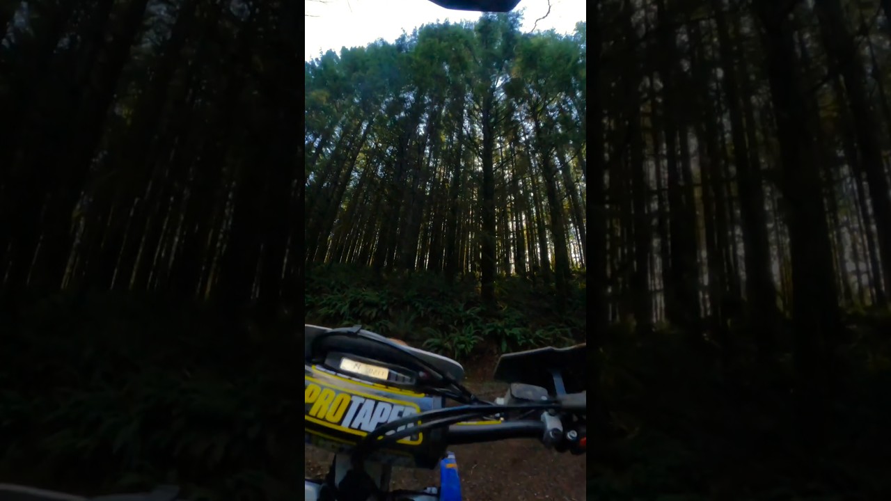 Cool section on the trail #extremenduro #эндуро #pnw #dirtbike #moto #motorcycle #enduro #2stroke