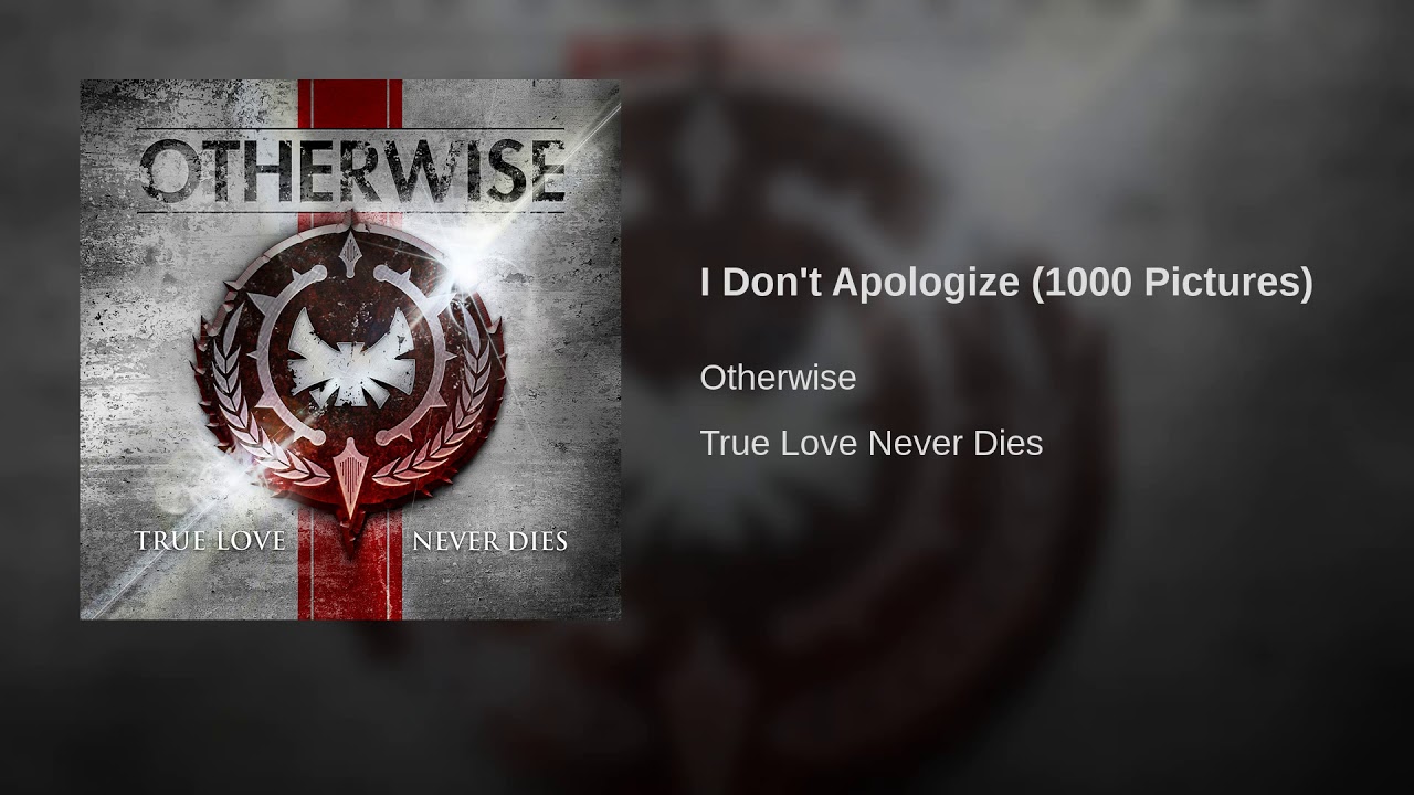 I Don't Apologize (1000 Pictures)