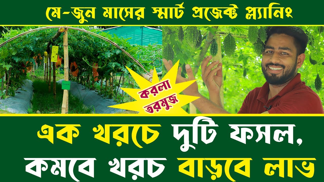 এক খরচে ২ টি ফসল, কমবে খরচ বাড়বে লাভ।  মে - জুন মাসের স্মার্ট প্রজেক্ট প্ল্যানিং।  Agro-1 seed
