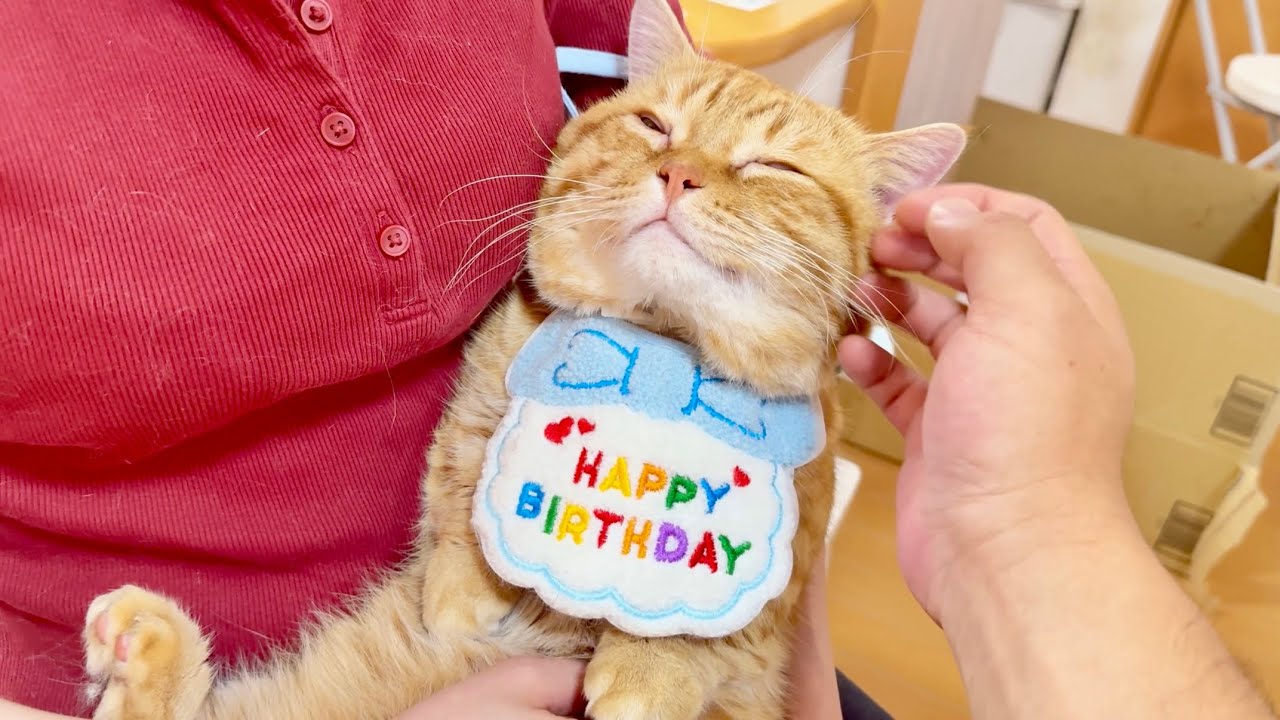 ぽちゃくん４歳になりました！