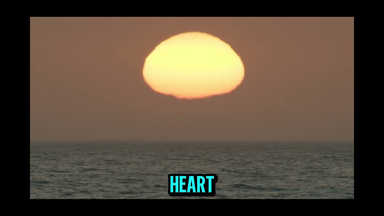 Episode 11 A habit of forgiveness